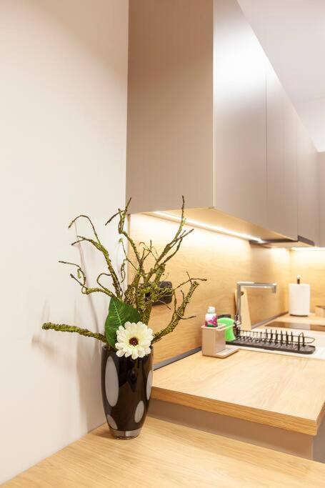 Elektra Luxury Alexandroupoli